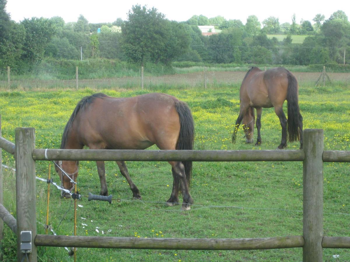 Chambre D'Hotes Proche Puy Du Fou Le Pin  Exteriör bild
